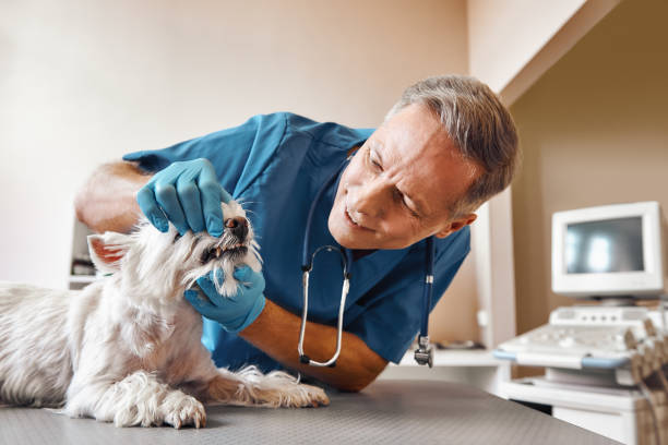 Best Weekend Emergency Dentist in Platte, SD